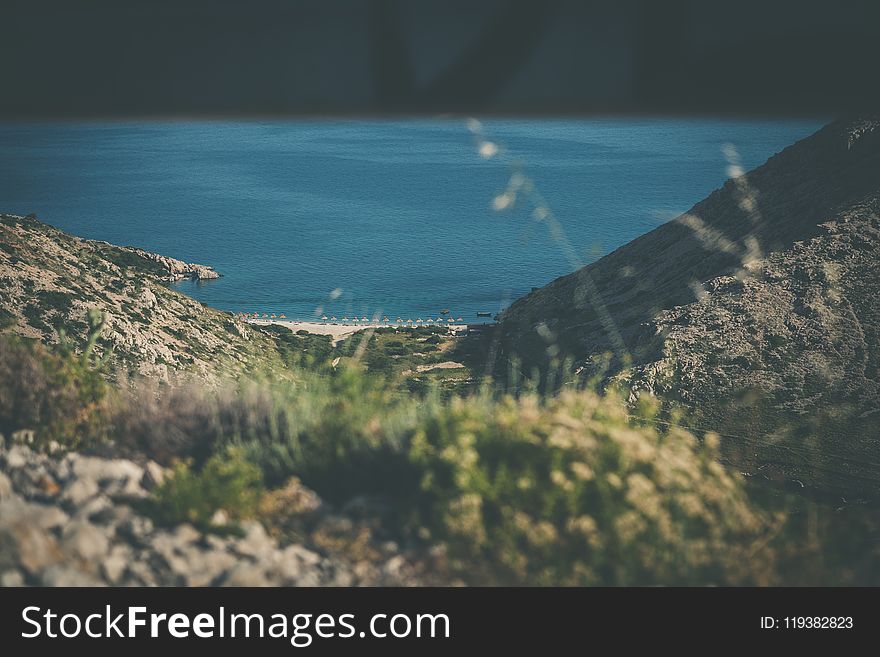 Shallow Focus Photography of Green Grass Field