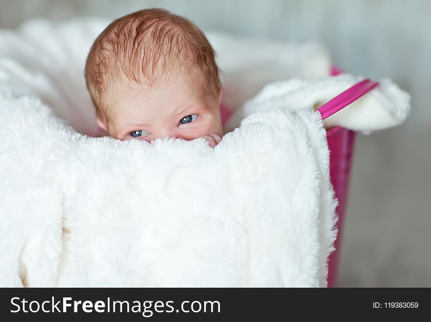 Newly born baby girl on the white fur blanket placed in pink bucket. Newly born baby girl on the white fur blanket placed in pink bucket