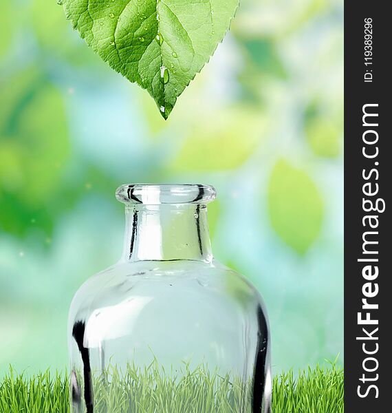Leaf water environmental conservation drop green wet dew