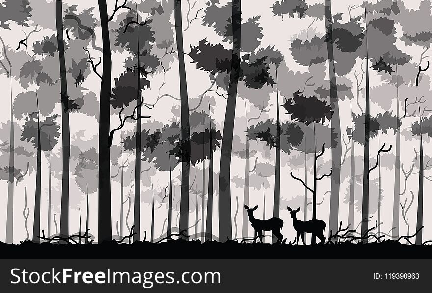 TWO DEER IN THE MIDDLE OF HUGE FOREST. TWO DEER IN THE MIDDLE OF HUGE FOREST.