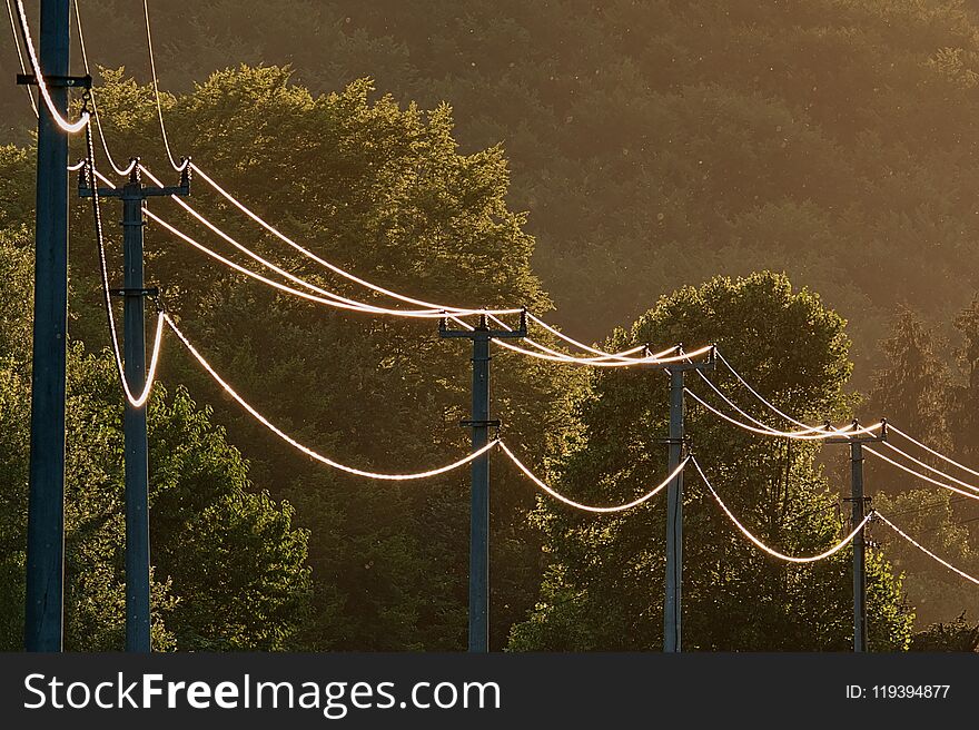 Electric power line illuminated by sunset