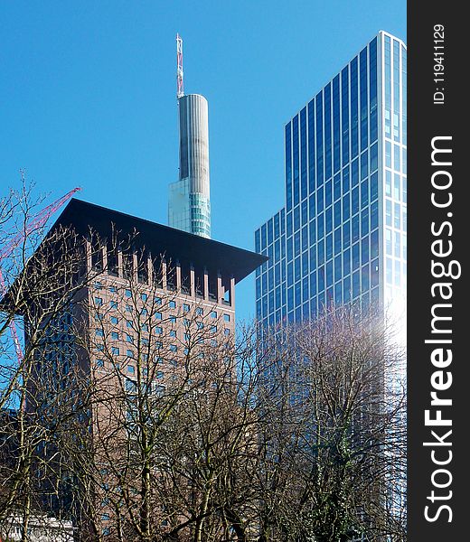Skyscraper, Building, Metropolitan Area, Landmark