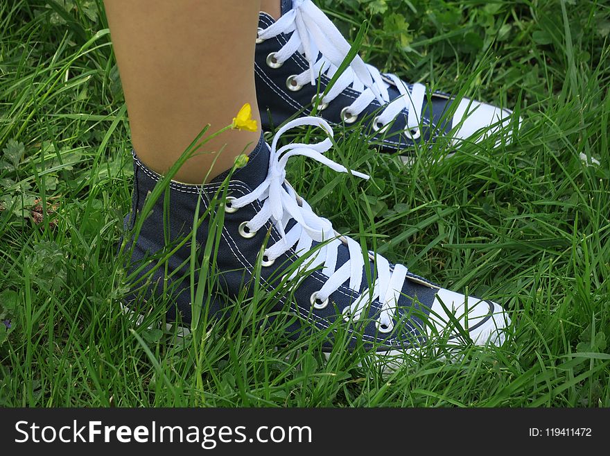 Footwear, Shoe, Grass, Plant