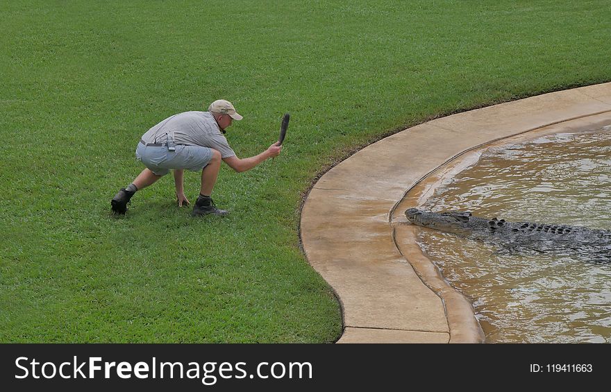 Grass, Vertebrate, Water, Lawn