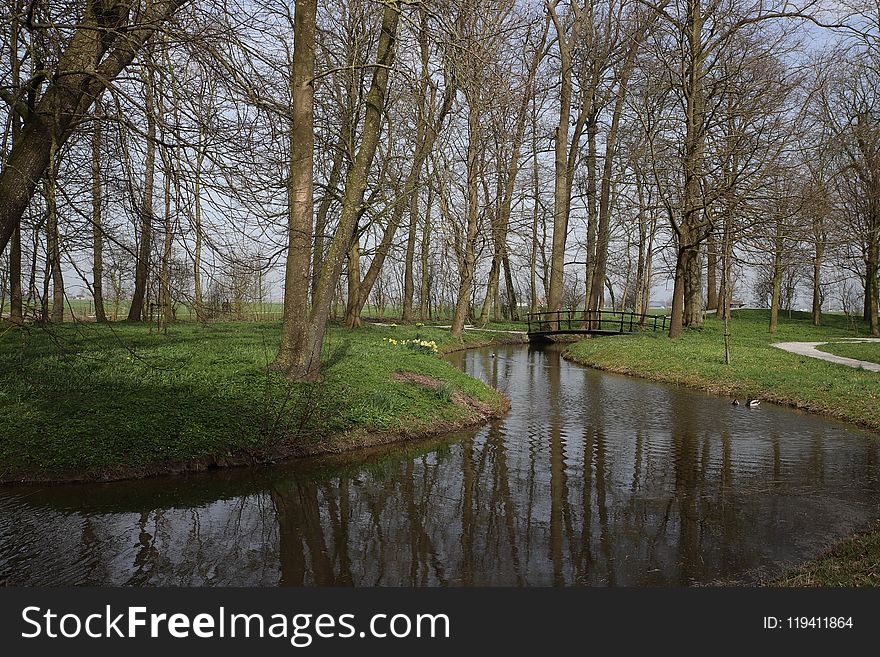 Waterway, Reflection, Water, Tree