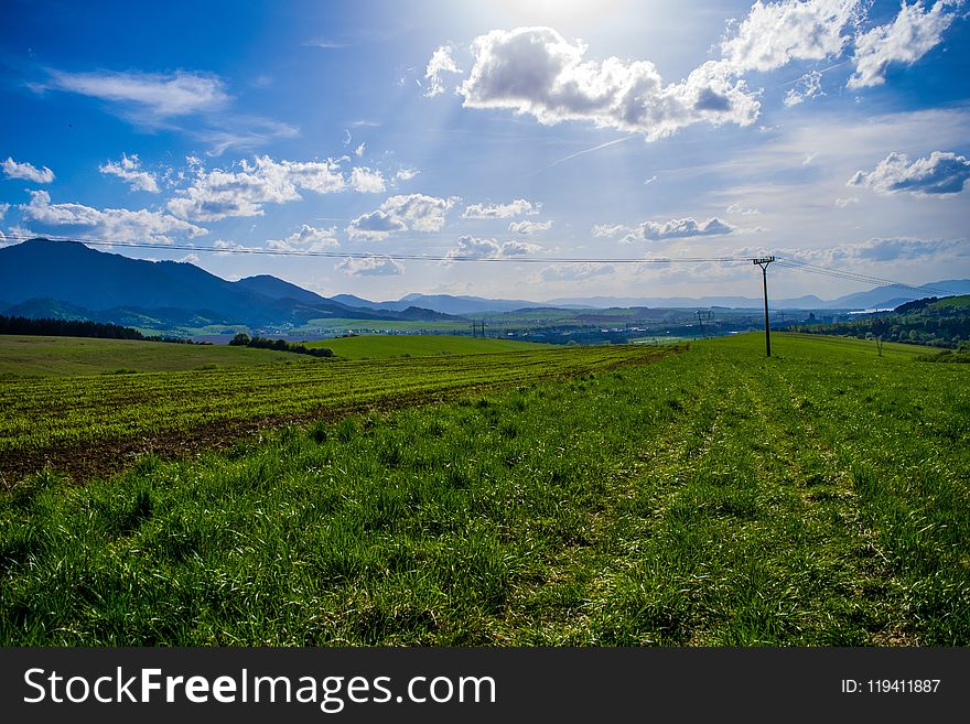 Grassland, Sky, Field, Highland