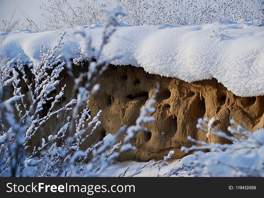 Snow, Winter, Freezing, Frost