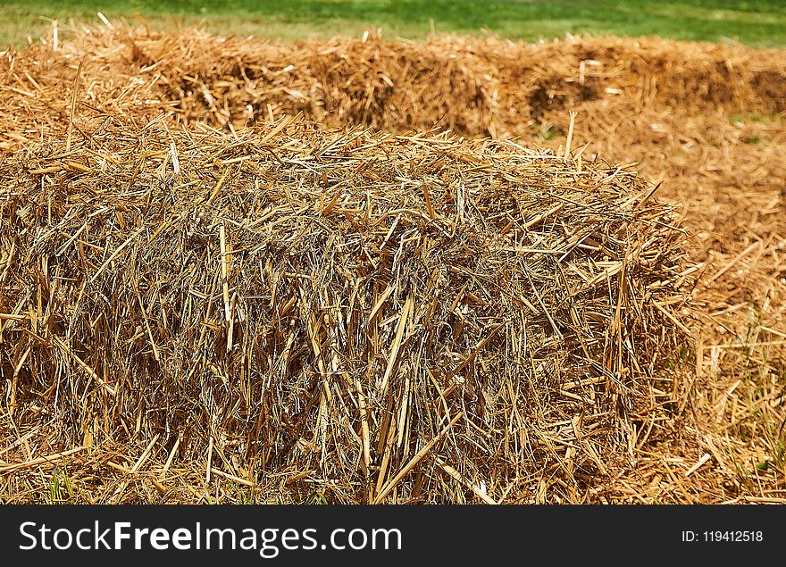 Hay, Straw, Crop, Agriculture