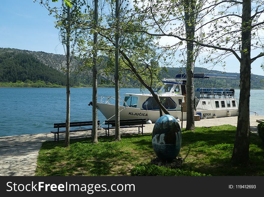 Lake, Tree, Vehicle, Boat