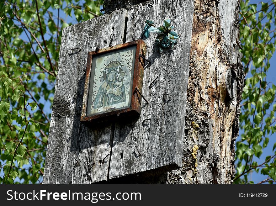 Tree, Trunk, Branch, Birdhouse