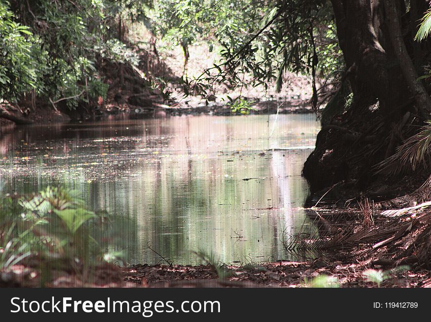 Nature Reserve, Body Of Water, Water, Vegetation