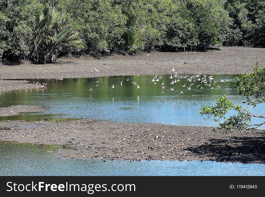 Water, Body Of Water, Nature Reserve, Reflection