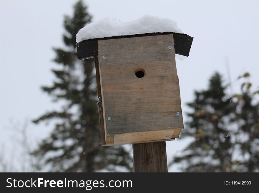 Birdhouse, Winter, Snow, Wood