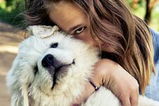 Happy Teen Girl Embracing A Cute Puppy Of A Pyrenean Mountain Dog Holding It On Her Hands In Summer Day Outdoors Royalty Free Stock Photos