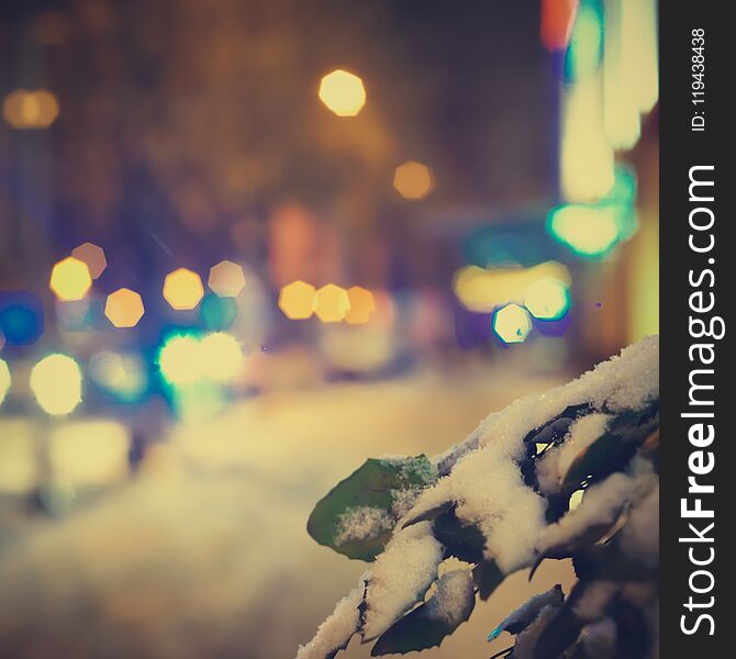 Tree branches covered with snow on the background of Christmas city. Tree branches covered with snow on the background of Christmas city