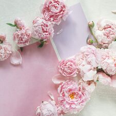 Flat Lay Concept With Beautiful Peonies On White Wood Stock Image