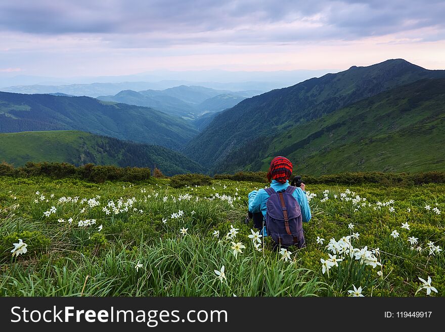 The tourist girl with back sack and tracking sticks sits on the lawn of daffodils. Relaxation. Mountain landscapes.