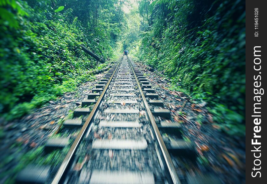 Antique railway in tropical forest &#x28;rainforest jungle&#x29; with green vegetation and motion sensation. It&#x27;s located in San Cipriano, Valle del Cauca, Colombia. In Spanish is called: brujitas &#x28;little witches&#x29;.