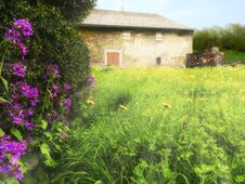 Ancient Stone House In A Field And Flower Bushes Stock Photo