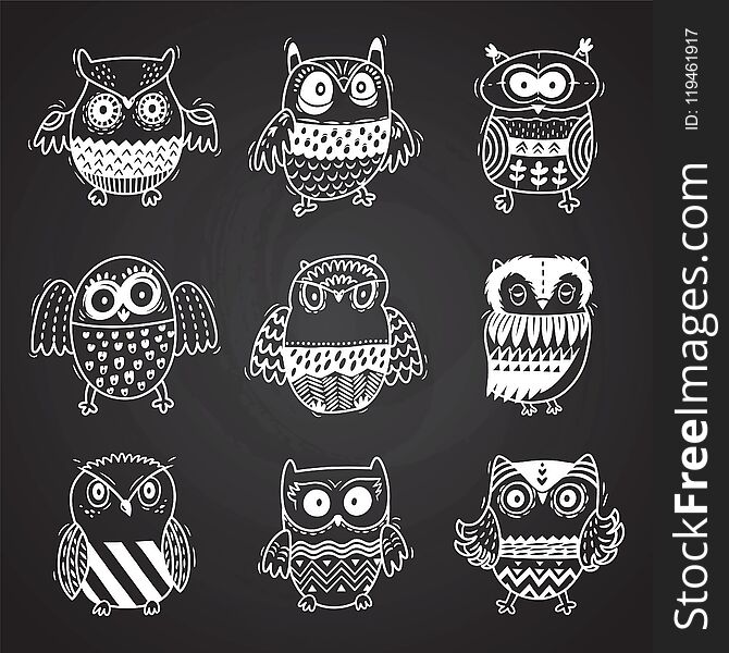 Cartoon Owls In Chalkboard Background. Vector Illustration