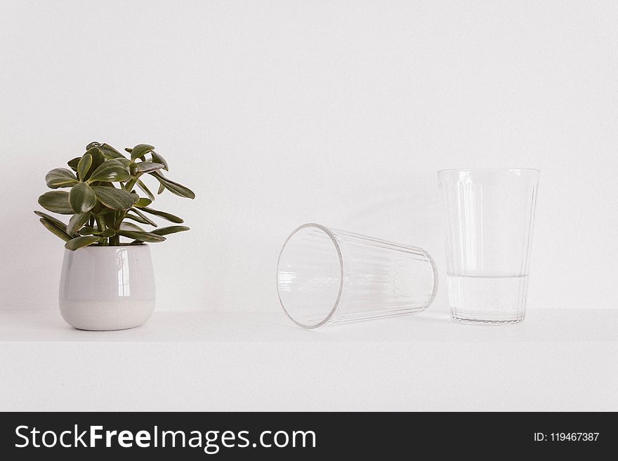 Two Clear Glass Drinking Cups