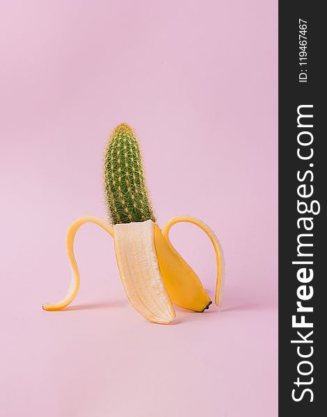 Edited Photo of Banana and Cactus