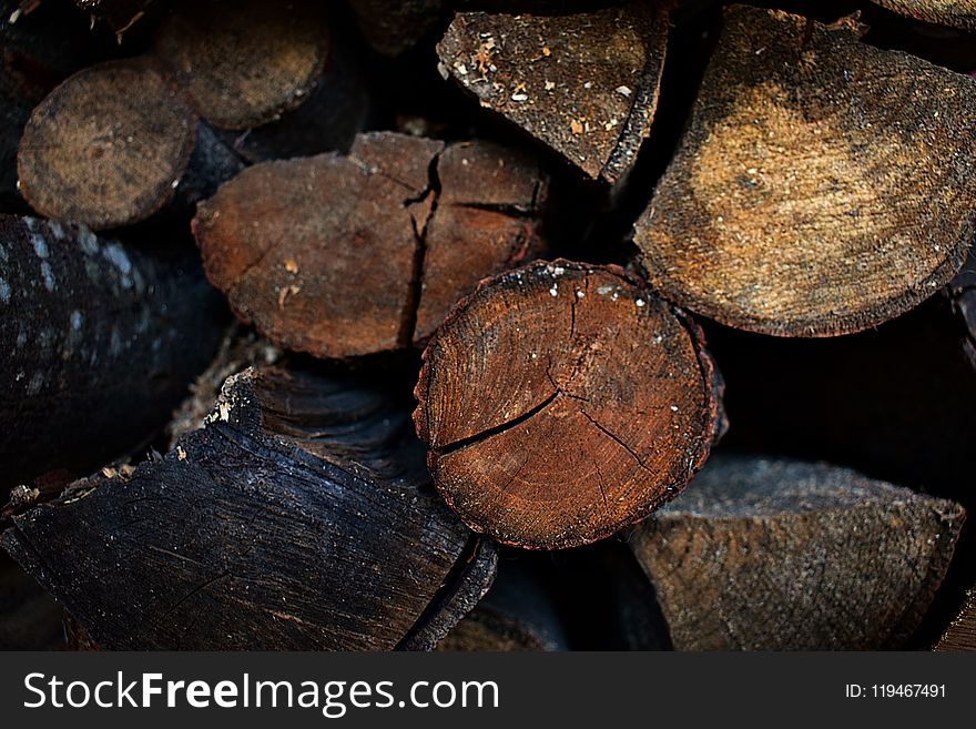 Stack of Wood Logs