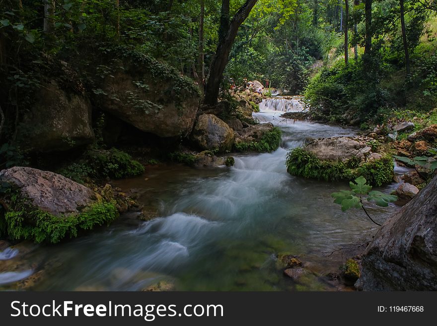 River Between Forest