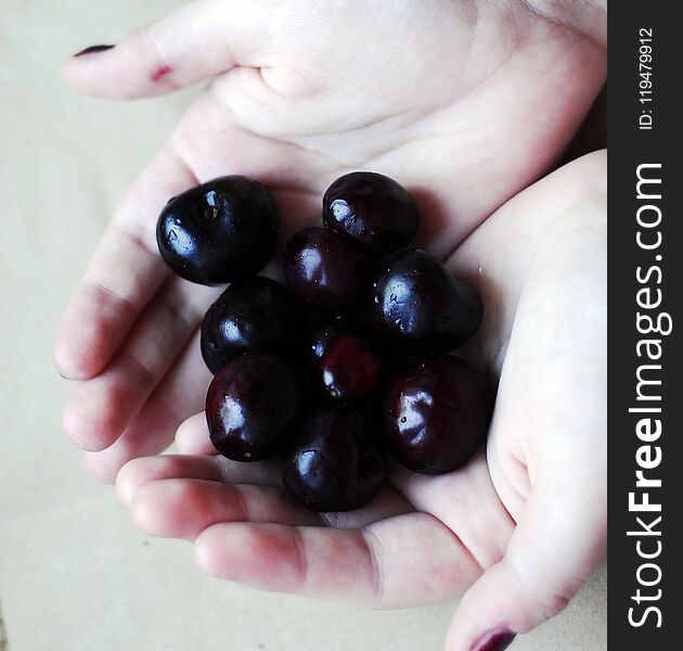 Dark cherries on the palms of hands