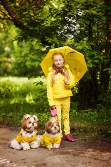 Sweet Girl In The Yellow Jacket Under An Umbrella With Dogs Walking In The Park Stock Photo