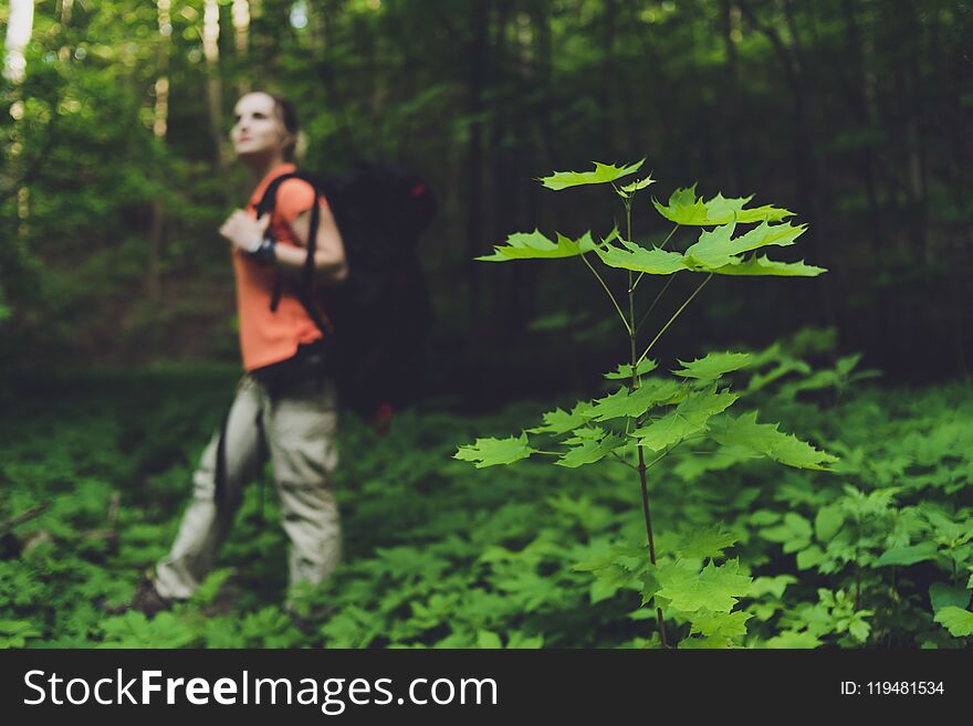 Girl tourist with a backpack traveling in the forest