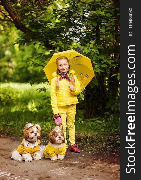 Sweet girl in the yellow jacket under an umbrella with dogs walking in the park