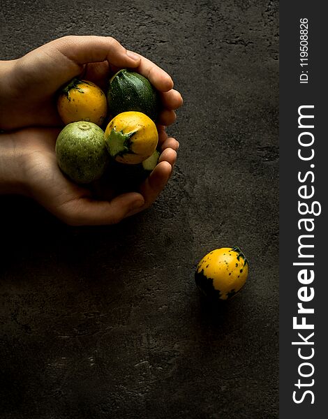 Female Hands Holding Yellow and Green Round Zucchini on Rustic Dark Background