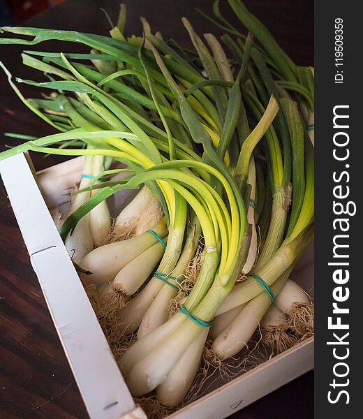 Top view of a box of bundles of freshly harvested whole spring onions. Top view of a box of bundles of freshly harvested whole spring onions