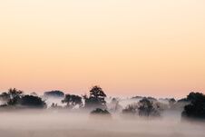 A View From Above From Afar To The Forest In Thick Fog At Dawn. A Gentle Pink Morning Sky Above The Mystical Forest Stock Images A View From Above From Afar To The Forest In Thick Fog At Dawn. A Gentle Pink Morning Sky Above The Mystical Forest Stock Images