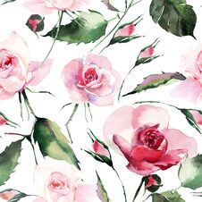 Beautiful Bright Elegant Wonderful Colorful Tender Gentle Pink Spring Herbal Rose With Buds And Green Leaves Pattern Watercolor Royalty Free Stock Images