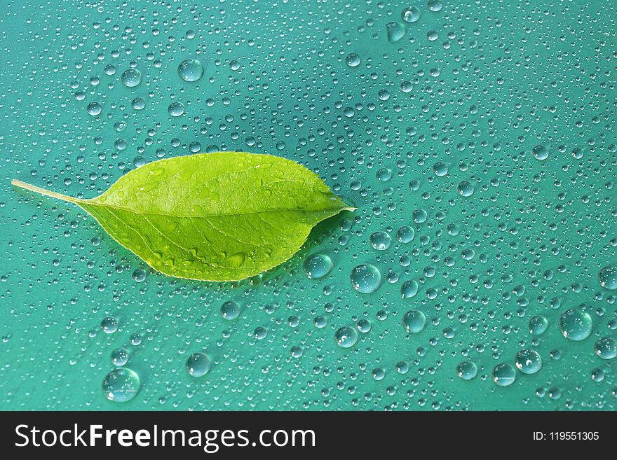 Green Apple Leaf On A Blue Background Close-up. Water Drop. For