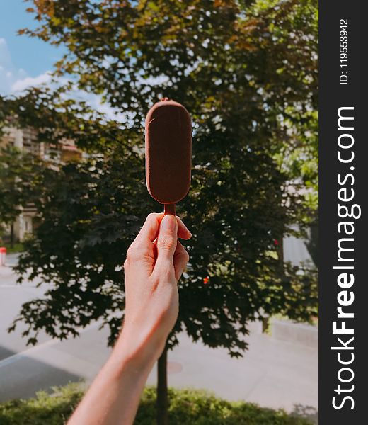 Person Holding Chocolate Popsicle