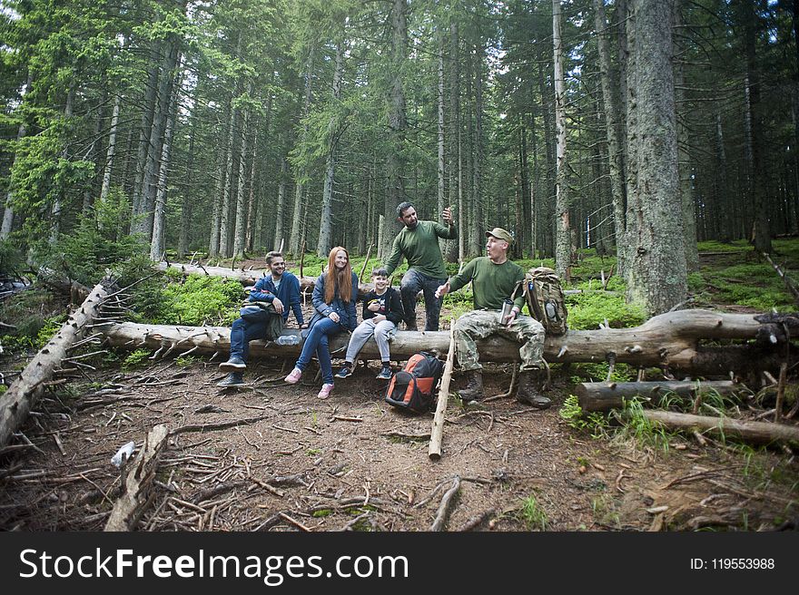 Three Men and Woman Sitting on Brown Trunk Photo