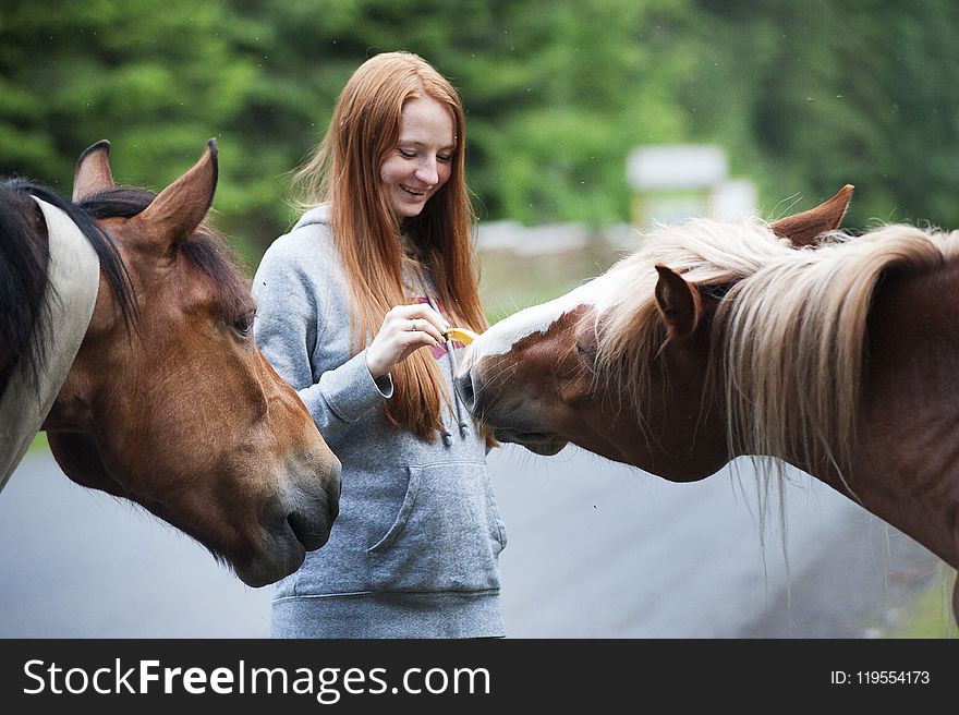 Close-Up Photography of Woman Near Horses