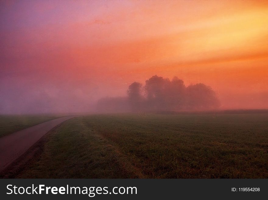 Grey Concrete Road Surrounded by Green Field and Fog