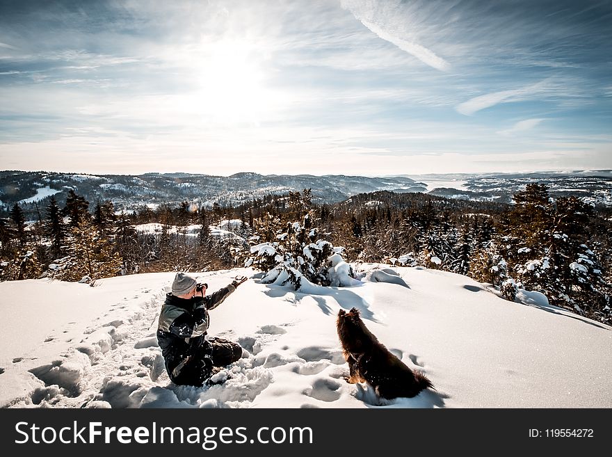 Man sitting near a dog Holding a Camera While Taking Picture of the Landscape