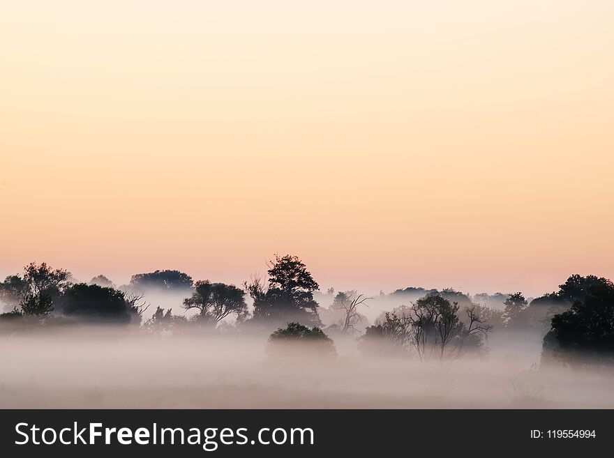 A view from above from afar to the forest in thick fog at dawn. a gentle pink morning sky above the mystical forest