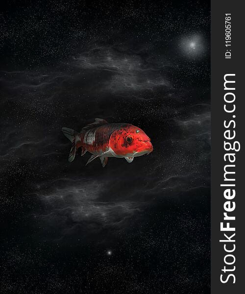 Space red fish photography and graphic work catfish sort