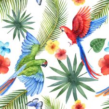 Watercolor Vector Seamless Pattern With Parrots, Tropical Leaves And Flowers Isolated On White Background. Royalty Free Stock Photo Watercolor Vector Seamless Pattern With Parrots, Tropical Leaves And Flowers Isolated On White Background. Royalty Free Stock Photo