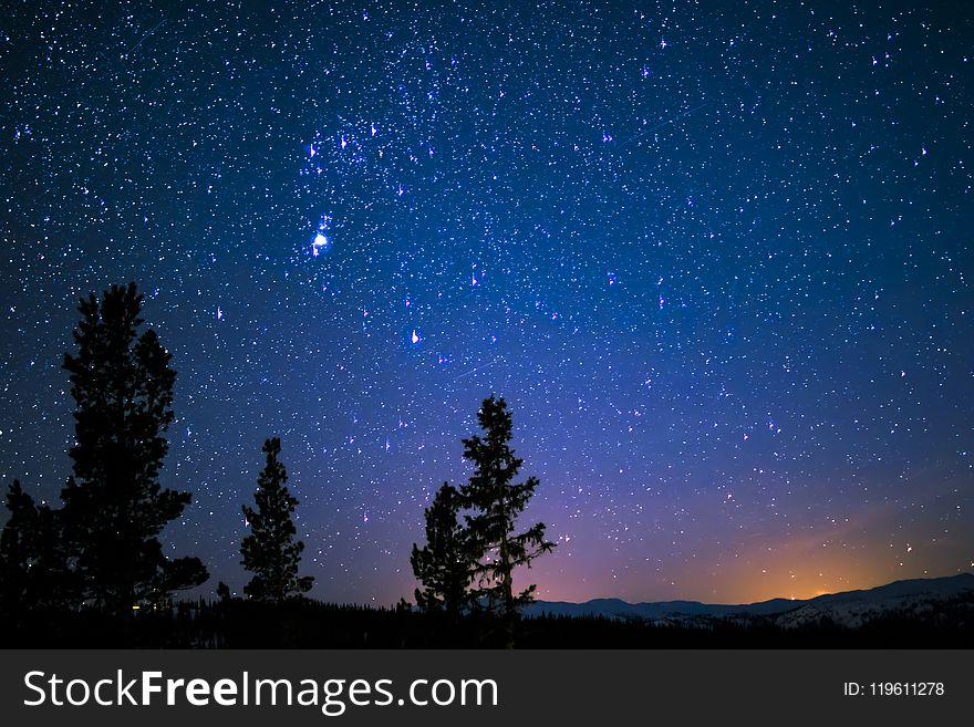 Silhouette of Trees and Mountain Under Blue Starry Sky