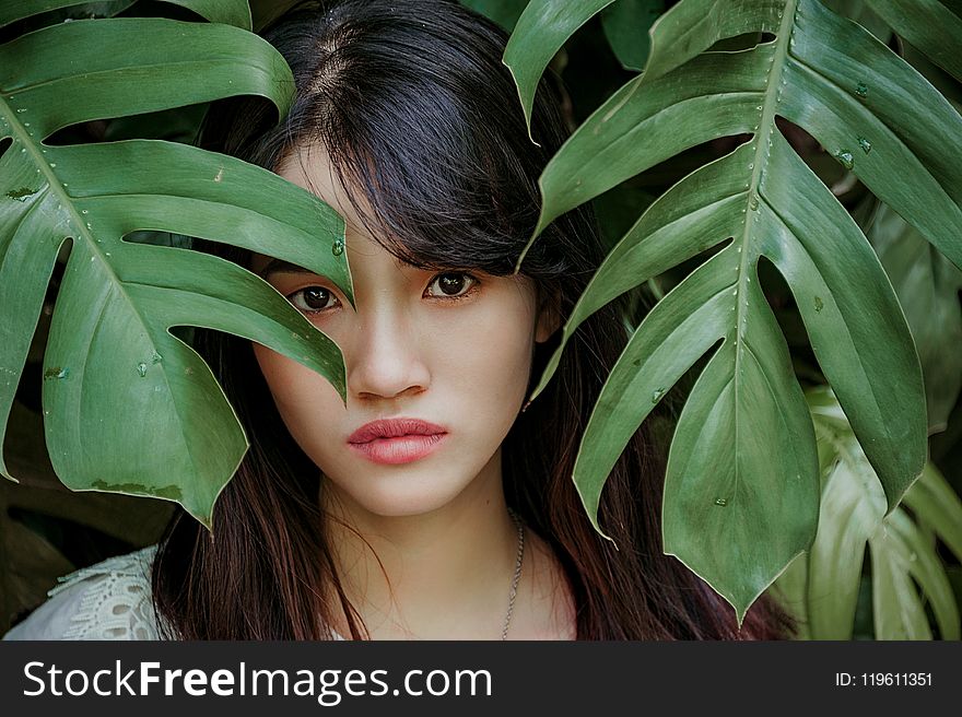 Woman Standing Between Green Leafed Plant