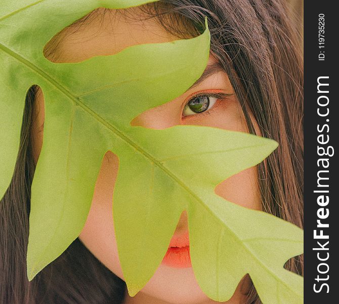 Photography of Woman Near Leaf