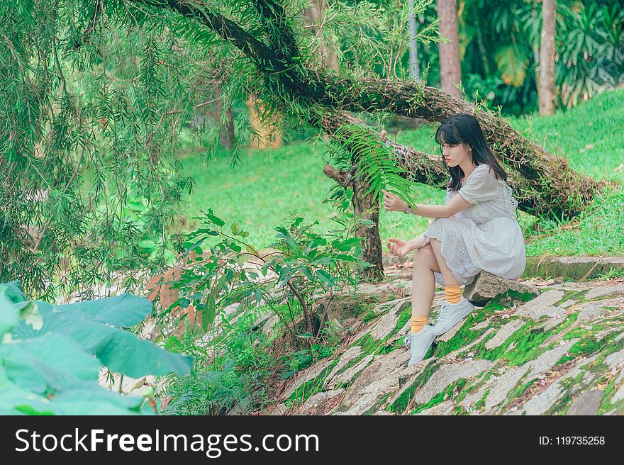 Photography Of Woman Sitting On Rock