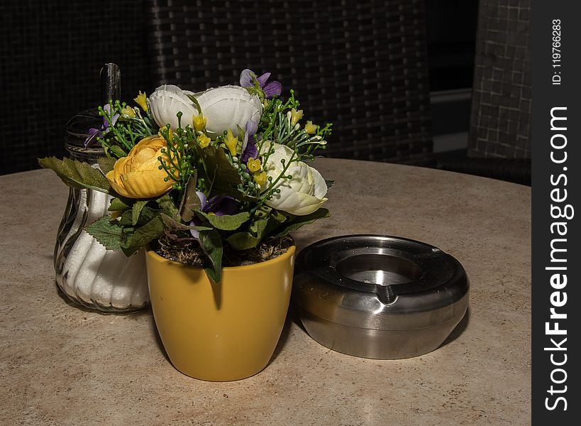 Flower, Vase, Plant, Flowerpot
